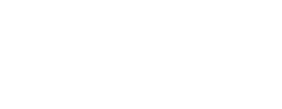 light logo